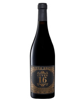 Вино Кюве 16 Лимитед Эдишн кр п/сух 16% 0,75л Италия фото