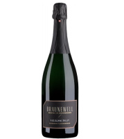 Вино игр Брауневелл Рислинг Зект бел брют 12,5-13% 0,75л Германия  фото