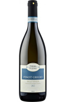 Вино Делле Венецие Терра Вицина Пино Гриджио бел п/сух 8,5-12% 0,75л Италия фото