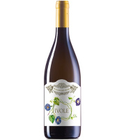 Вино Иволе бел/сух 13,5% 0,75л Италия фото