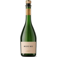 Вино игр Мучо Мас экстра драй 12% 0,75л Испания фото