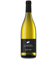 Вино Л'Инстан Совиньон блан Клеман и Флориан Бертье 2022 бел/сух 12,5% 0,75л Франция фото